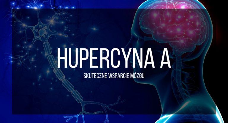 Hupercyna A – Skuteczne wsparcie mózgu