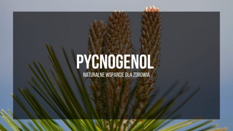 Pycnogenol-naturalne-wsparcie-dla-zdrowia