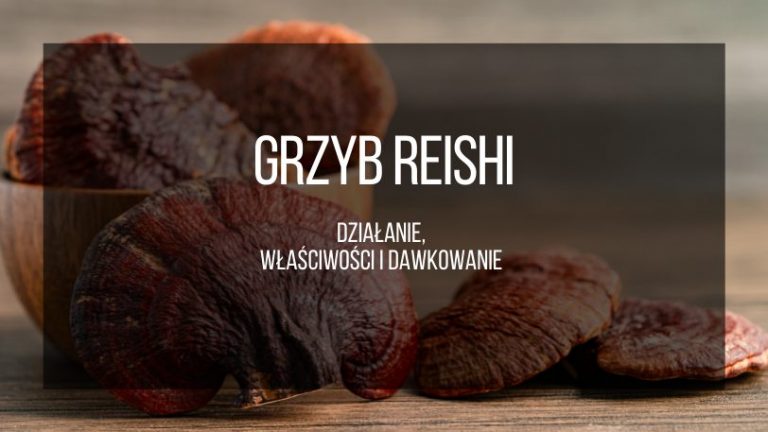 reishi
