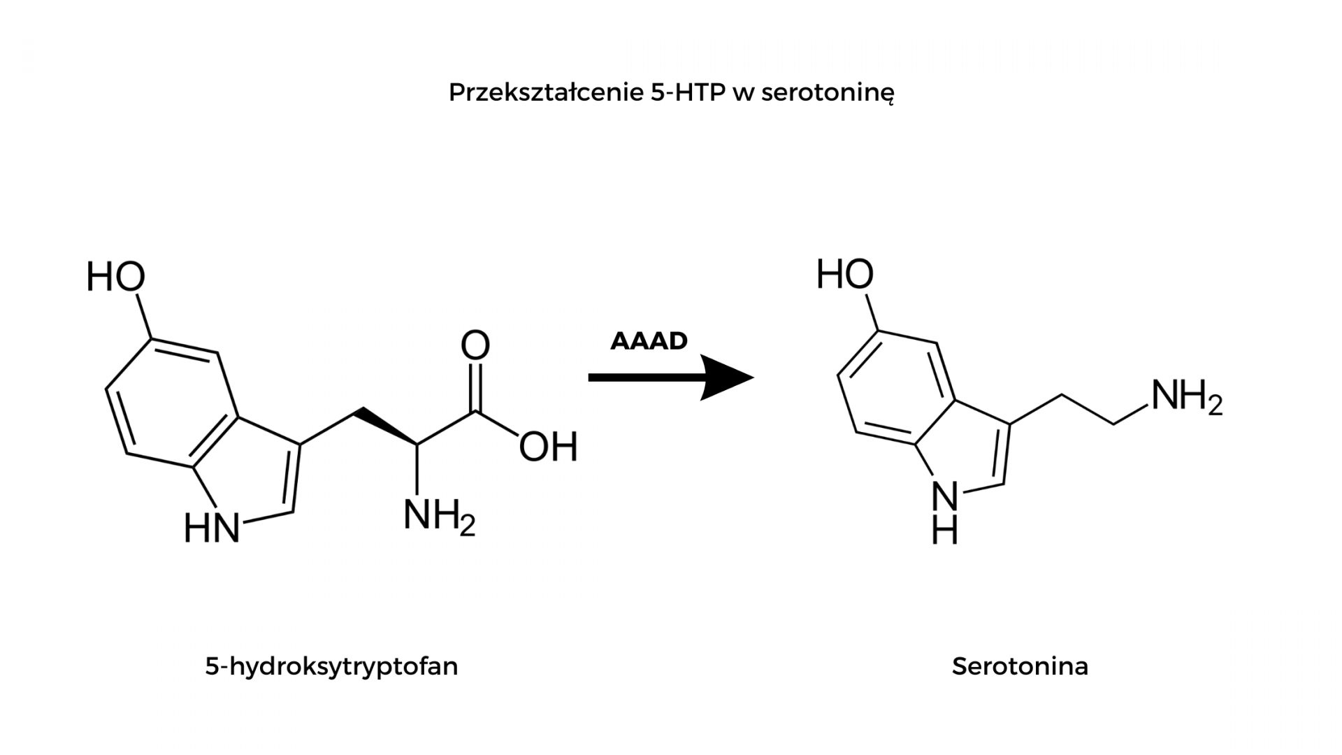 chemiczny wzór przedstawiający Przekształcenie 5-HTP w serotoninę