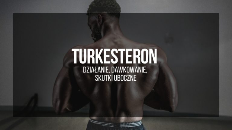 Turkesteron - działanie, dawkowanie, skutki uboczne