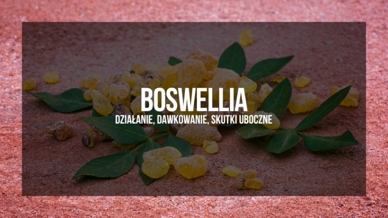 Baner reklamowy Boswellii z tytułem 'BOSWELLIA: działanie, dawkowanie, skutki uboczne', przedstawiający żywicę i liście Boswellii na naturalnym tle.