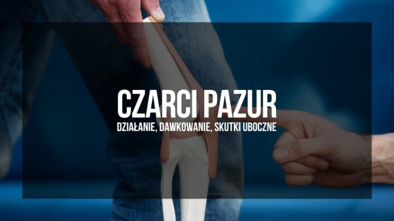 Obraz przedstawiający człowieka trzymającego rękę na bolącym kolanie z tekstem "CZARCI PAZUR - działanie, dawkowanie, skutki uboczne" na przejrzystym tle na górze.