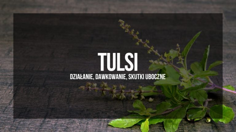 Tulsi – działanie, dawkowanie, skutki uboczne. Wizualizacja przedstawiająca świeże liście Tulsi z kwiatostanami na tle drewnianej powierzchni.