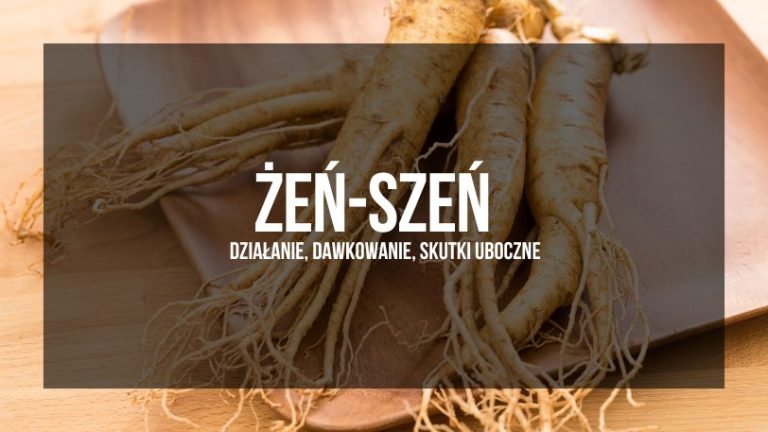 obrazek przedstawia 4 korzenie żeń-szenia, ułożone na drewnianej podkładce, na stole. na pierwszym planie napis" żeń-szeń, działanie, dwakowanie, skutki uboczne"