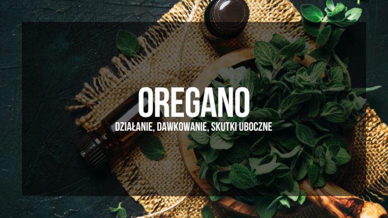 Na obrazie przedstawiono aranżację związaną z oregano. Widzimy świeże listki oregano umieszczone na drewnianej desce, a obok nich butelka z olejkiem z oregano. Całość jest wyeksponowana na ciemnym, kamiennym blacie, co dodaje naturalności i elegancji prezentacji. Obok znajduje się jasna, pleciona podkładka, która dodaje tekstury i kontrastu do sceny. Nad całością umieszczony jest tekst „OREGANO” w dużych literach, a pod nim „DZIAŁANIE, DAWKOWANIE, SKUTKI UBOCZNE”, co wskazuje, że obraz może być używany w kontekście artykułu lub publikacji edukacyjnej na temat korzyści zdrowotnych i możliwych skutków ubocznych stosowania oregano, zarówno w formie zioła, jak i olejku.