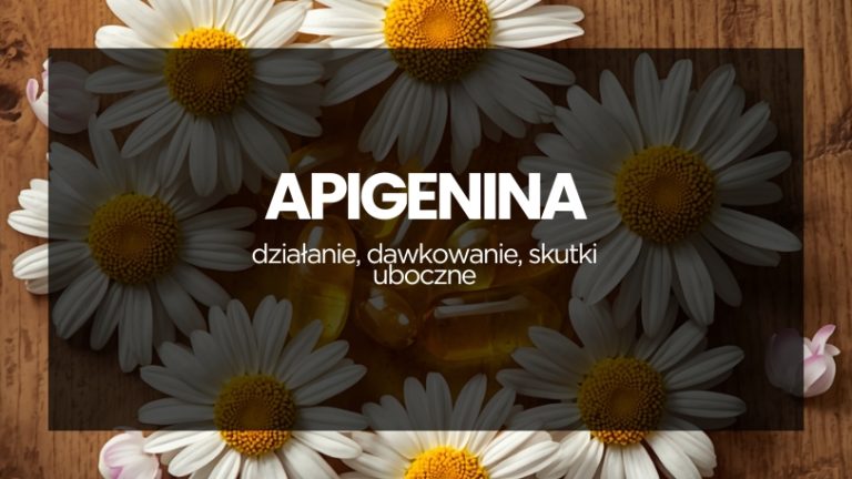 Apigenina – kapsułki suplementu z kwiatami rumianku na drewnianej desce. Napis na środku: "apigenina działanie, dawkowanie, skutki uboczne".