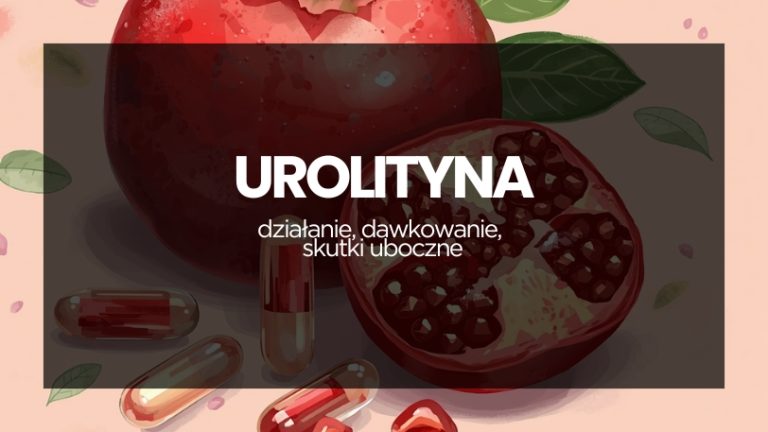 Grafika do artykułu na blogu "urolityna - działanie, dawkowanie, skutki uboczne". w tle owoce granatu i kapsułki suplementu z urolityną.