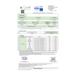 Supplife - Olej CBD Forte 10% - 12 ml