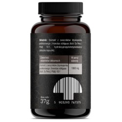 Solve Labs - CHAGA 10:1 EKSTRAKT - 60 kapsułek