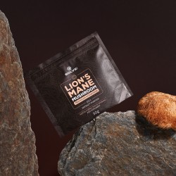 Solve Labs - LION'S MANE 10:1 MUSHROOM POWDER - 30 g