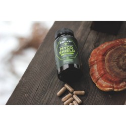 Solve Labs - MYCO DEFEND - IMMUNE SUPPORT - 60 kapsułek