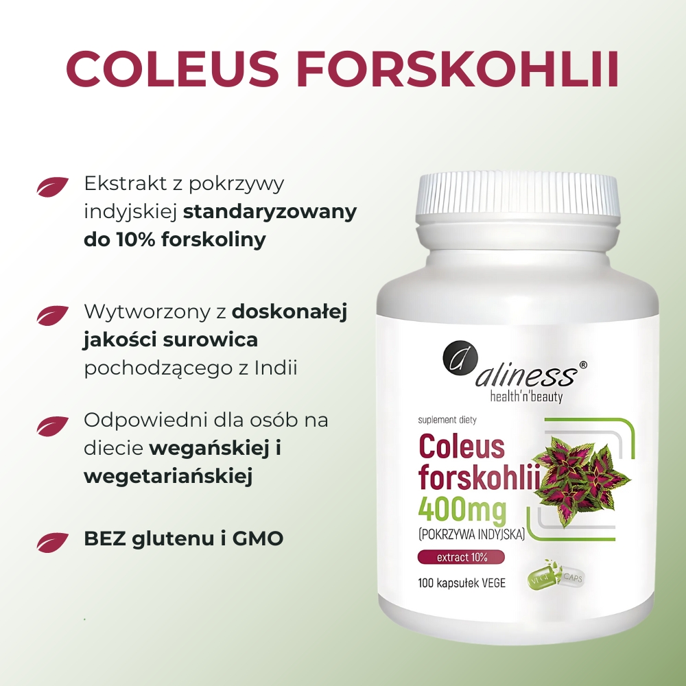 Aliness - Coleus forskohlii 10% 400 mg - 100 kapsułek