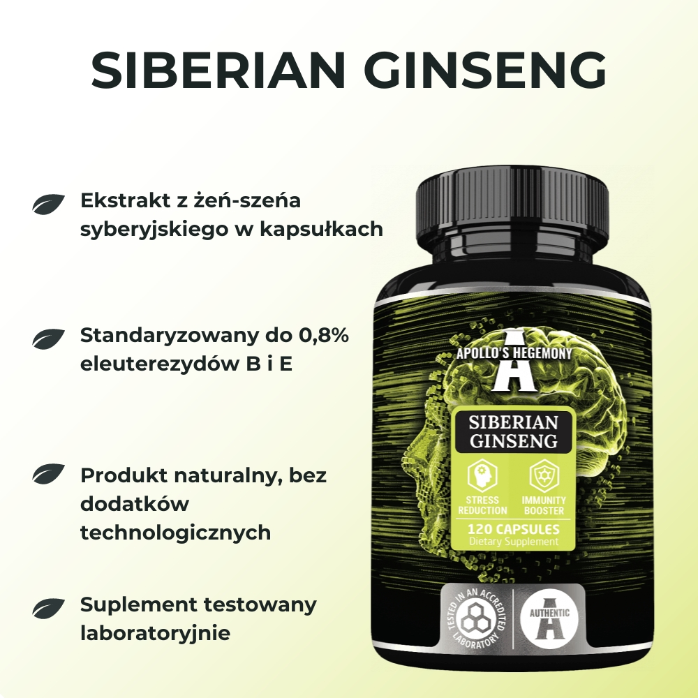 Apollo's Hegemony Siberian Ginseng - Energetyczna moc z Syberii