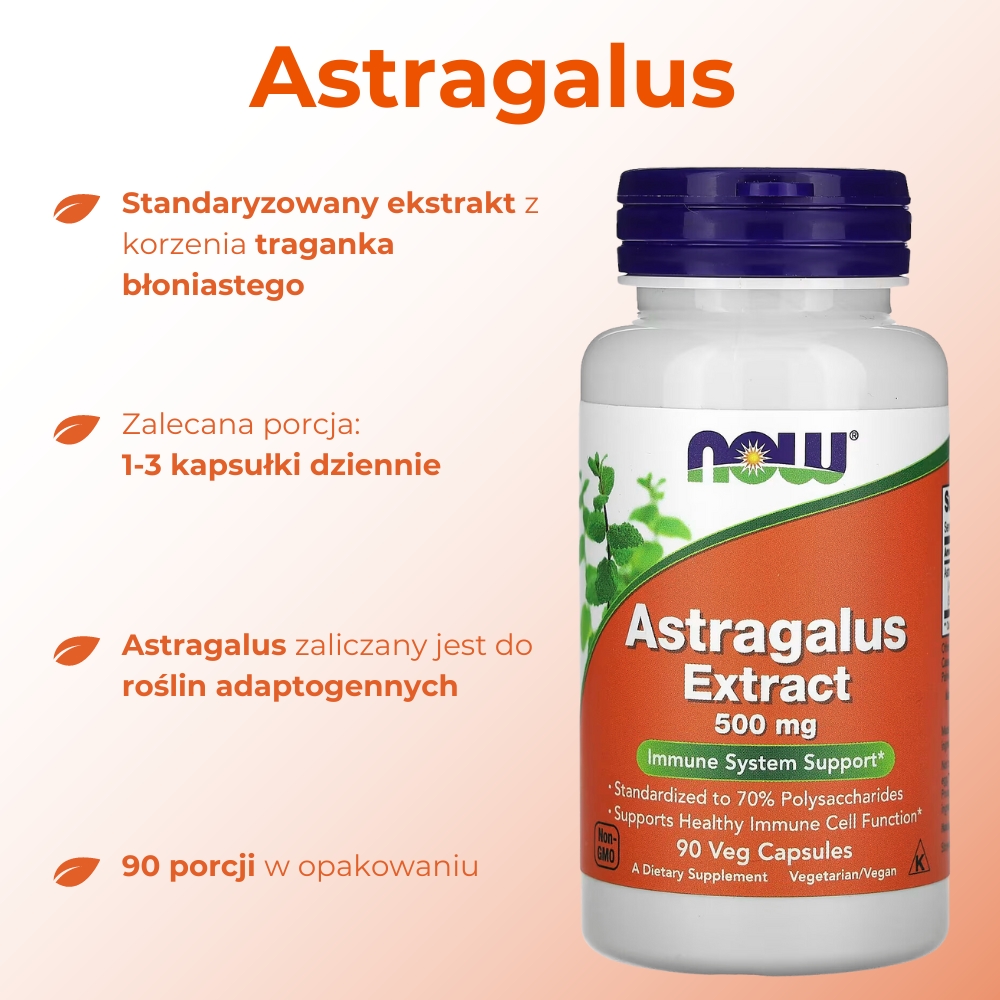 Opakowanie suplementu diety NOW Astragalus Extract 500 mg – widok z przodu. Produkt zawiera wyciąg z korzenia traganka błoniastego wspierający odporność i witalność. Etykieta na białym tle z informacjami o dawkowaniu i składnikach.