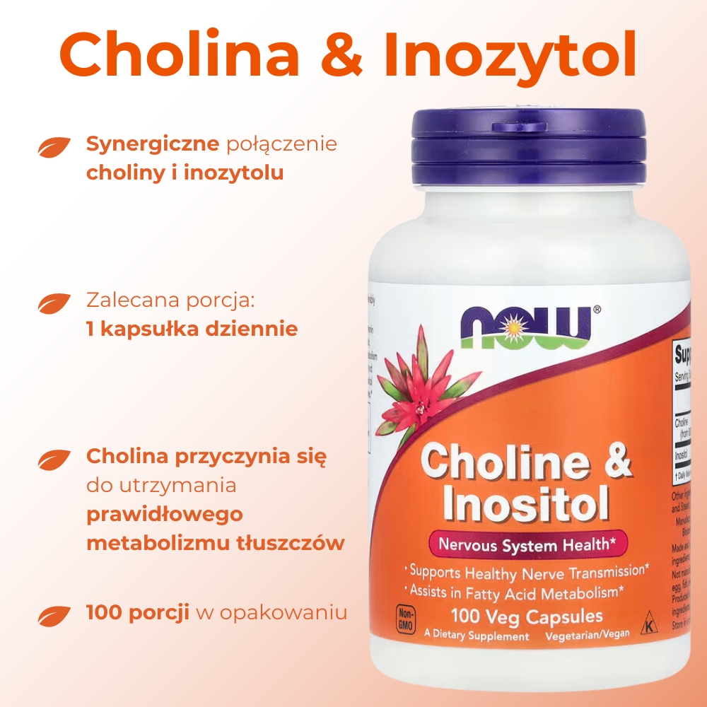 Opakowanie suplementu diety NOW Choline & Inositol – widok z przodu. Produkt zawiera cholinę i inozytol wspierające metabolizm homocysteiny, tłuszczów oraz funkcjonowanie wątroby. Etykieta na białym tle z informacjami o dawkowaniu i składnikach.